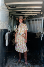 Sunny Days Western Horse Dress