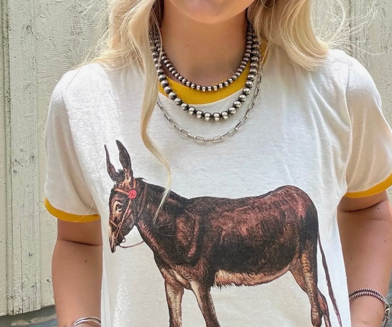 Hank & Scoot Vintage Ringer Tee Donkey