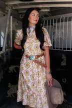 Sunny Days Western Horse Dress