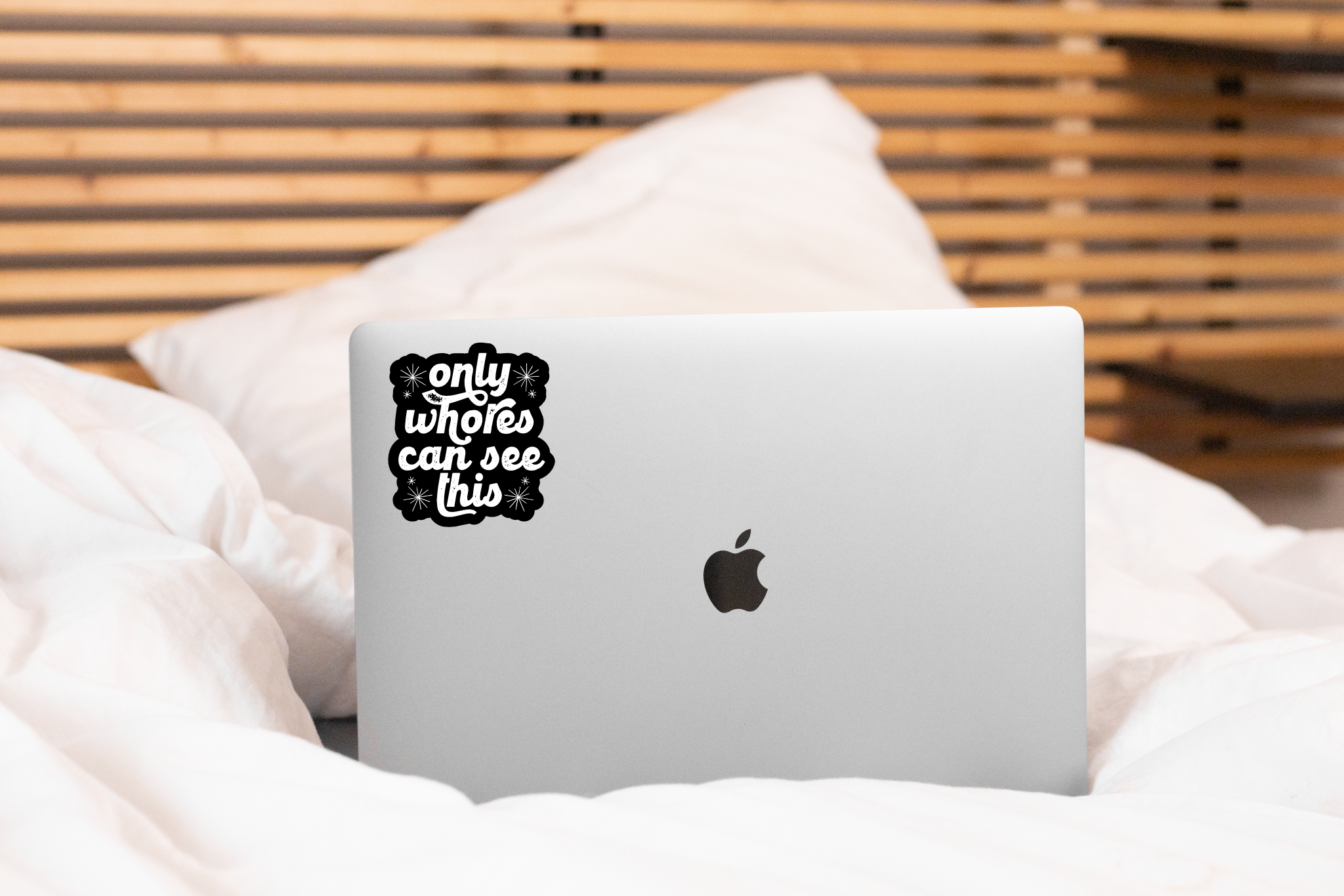 Only Whores Can See This Sticker - funny, snarky, friendship